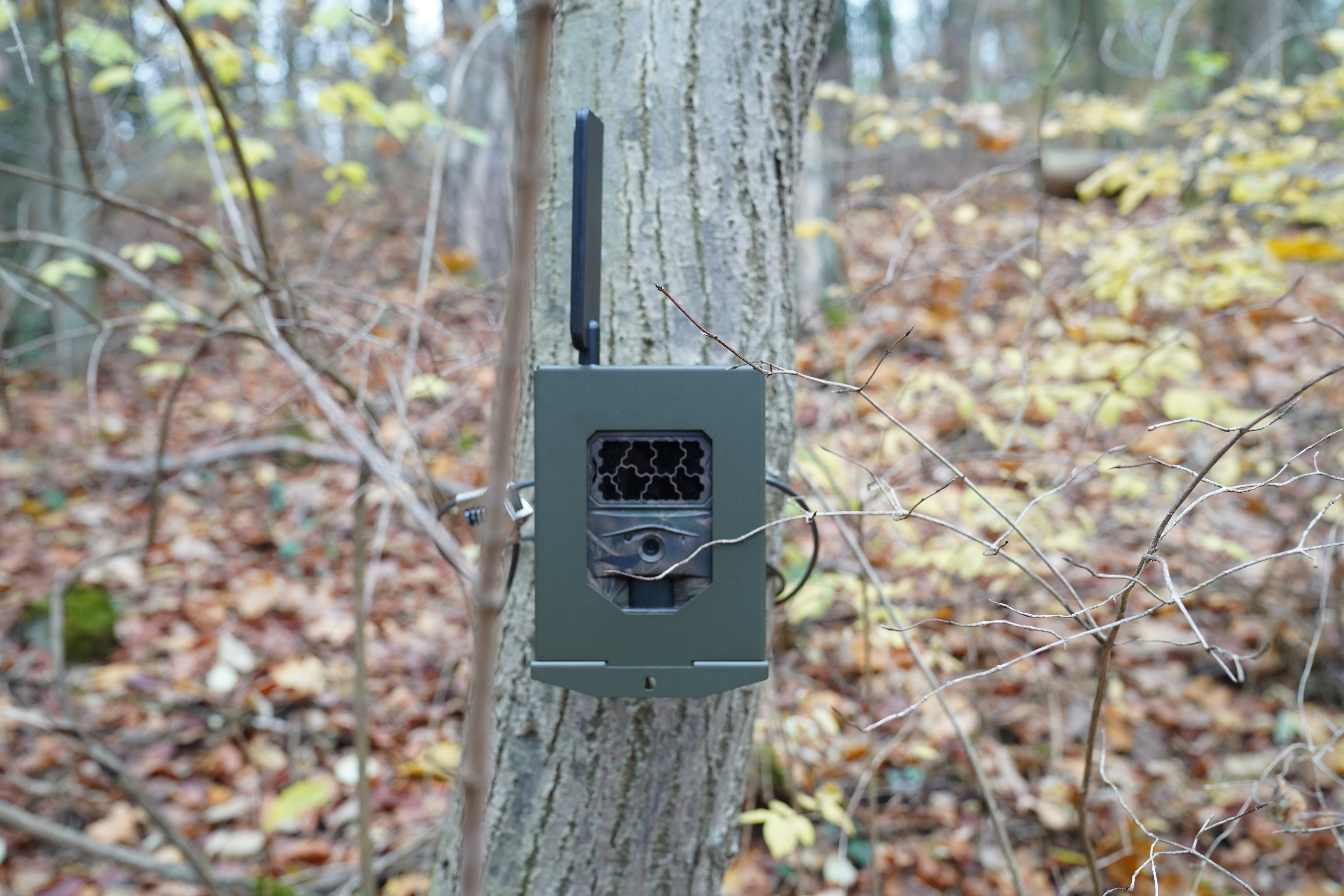 Stahlgehäuse passend für SEISSIGER Pro-Cam LTE / Special / CLASSIC / 2G