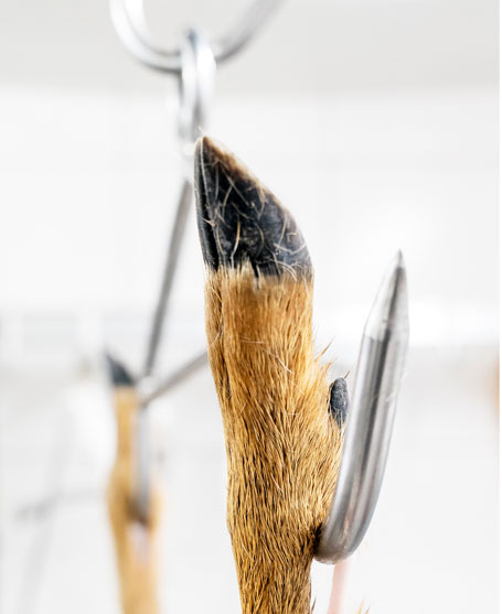 Landig Wildgalgen Edelstahl Aufbrechhilfe