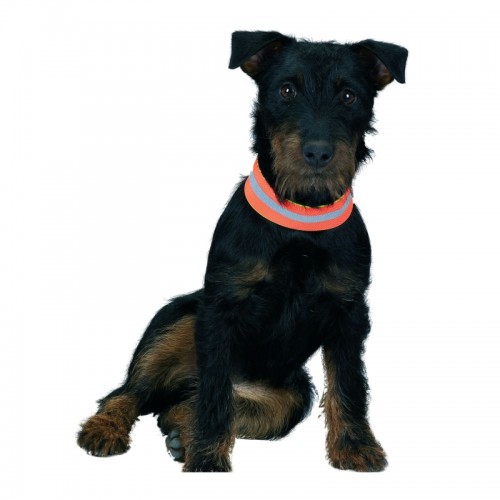Farm-Land Hunde Signalband wendbar #1 Gr.38cm