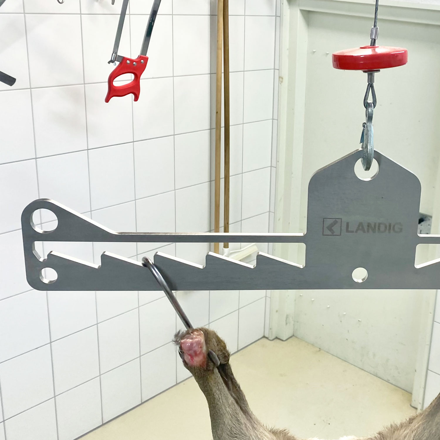 Landig Premium Wildgalgen Edelstahl