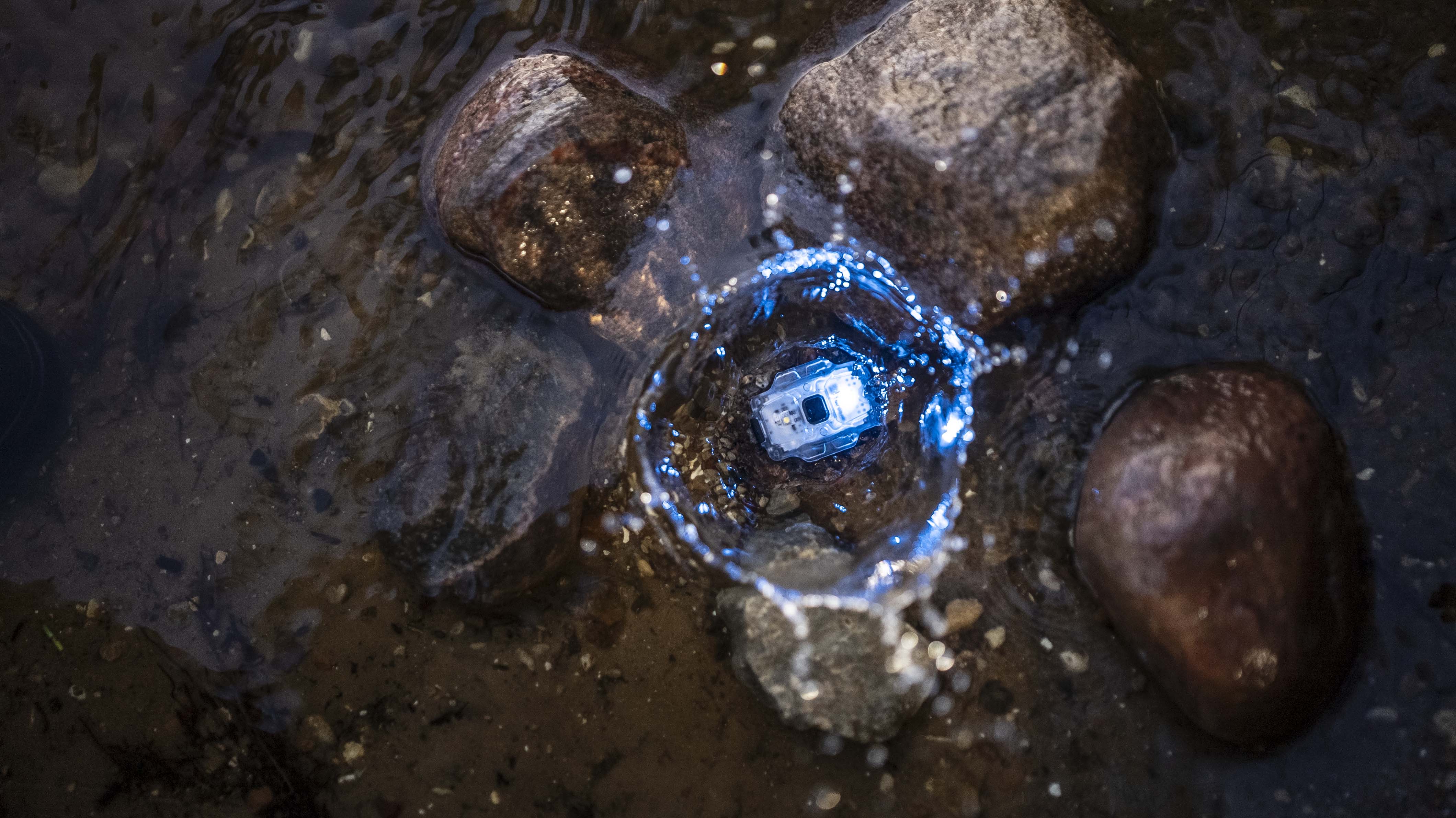 Armytek Crystal Pro UV Blue