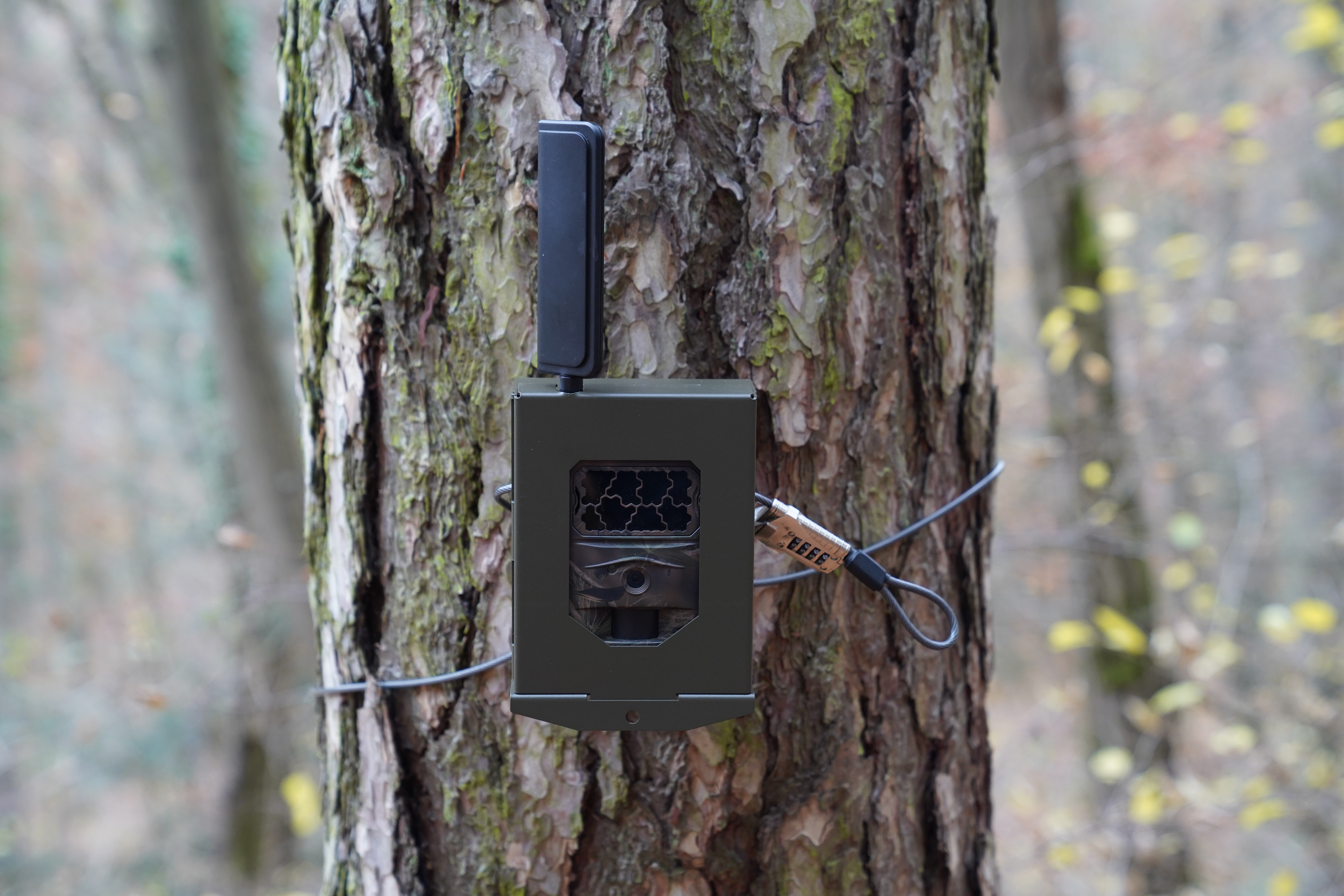 Stahlgehäuse passend für SEISSIGER Pro-Cam LTE / Special / CLASSIC / 2G