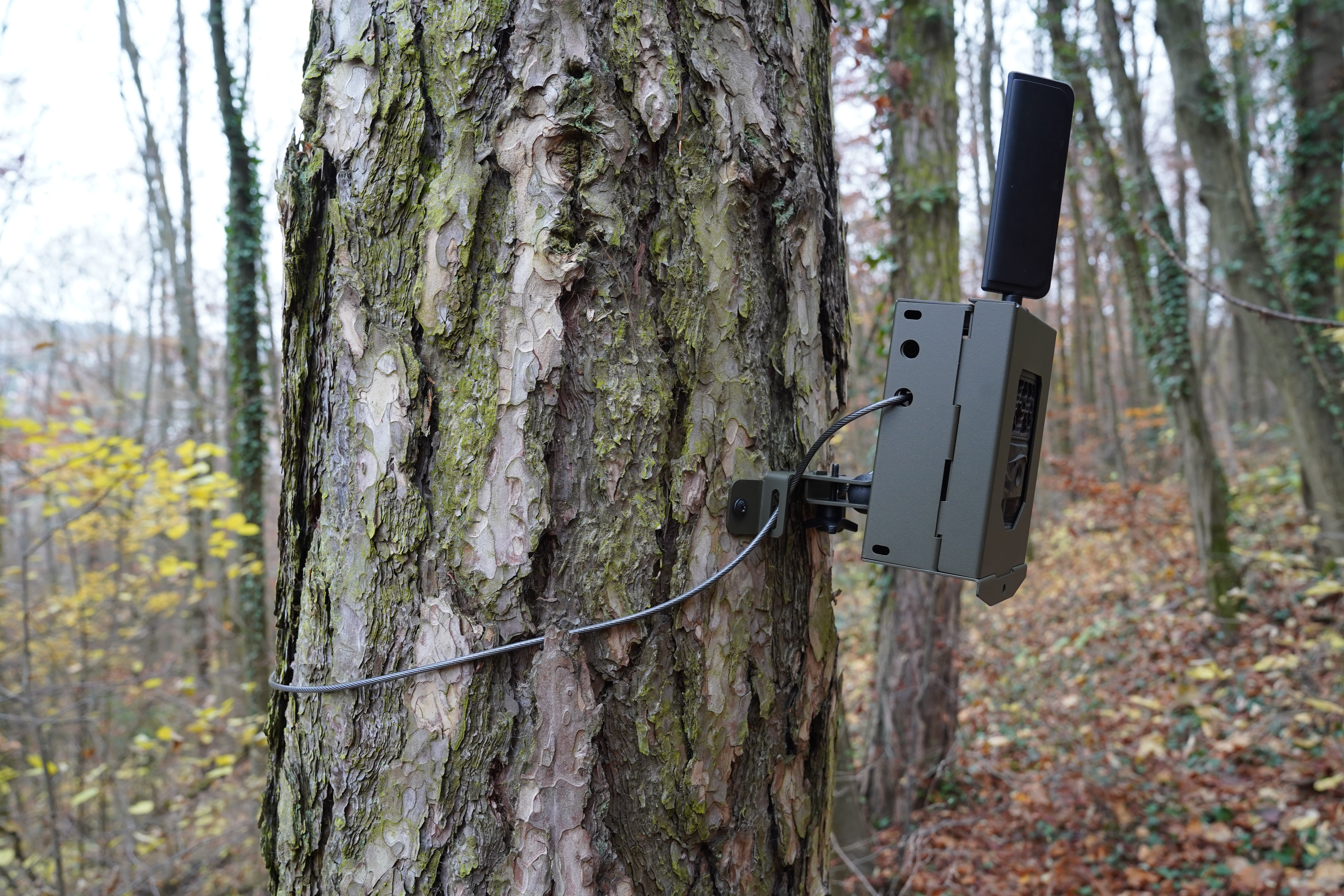 Stahlgehäuse passend für SEISSIGER Pro-Cam LTE / Special / CLASSIC / 2G