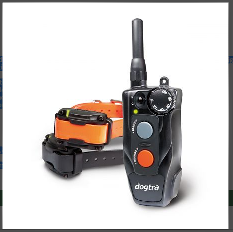 Dogtra 642C Ferntrainer für 2 Hunde