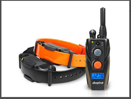 Dogtra ARC 1202S Ferntrainer für 2 Hunde