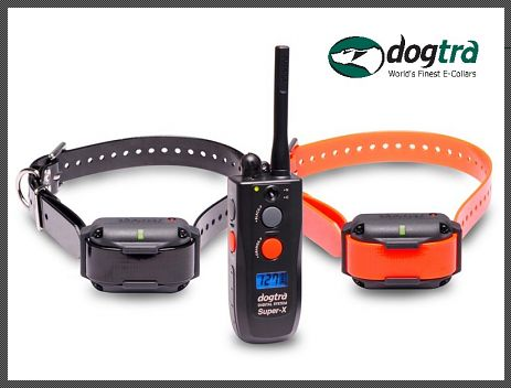 Dogtra 3502 NCP Super X 2 Hunde Ferntrainer mit 1600m Reichweite