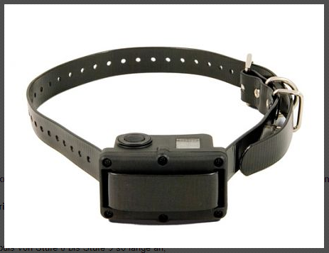 Sportdog NoBark 10R Antibellgerät